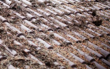 Gattonside roof cleaning companies